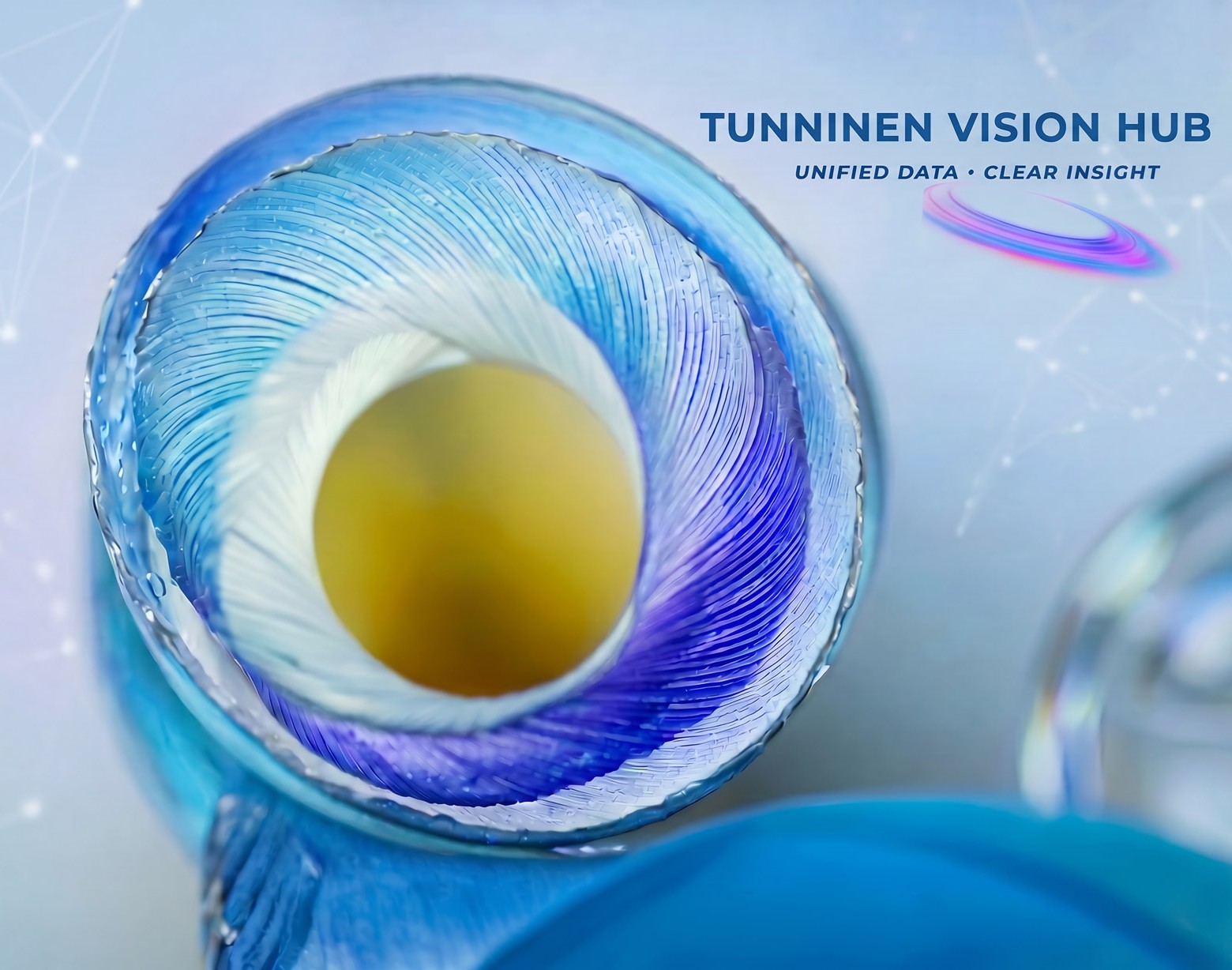 DMP Vision Hub